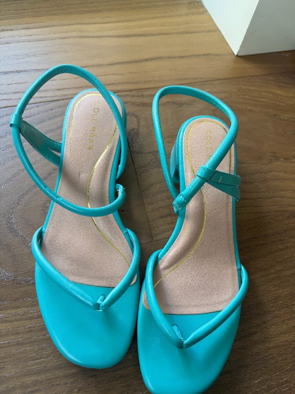 Cole Haan Turquoise Callie Thong Sandals